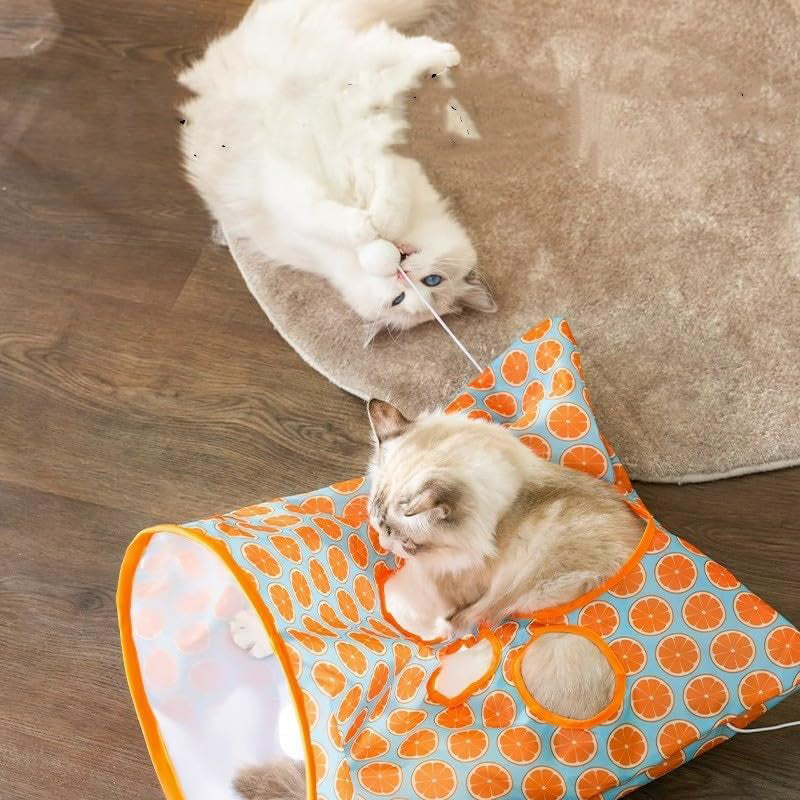 BowLift | Cat Tunnel Bag