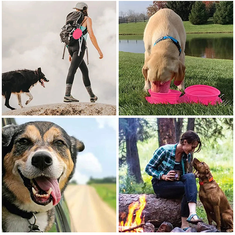 BowLift | Travel Dog Dinner Set