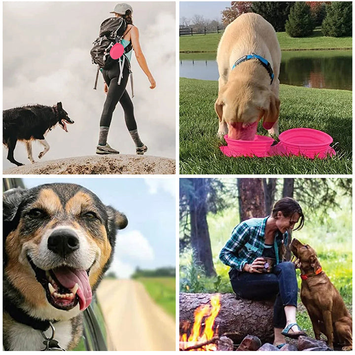 BowLift | Travel Dog Dinner Set