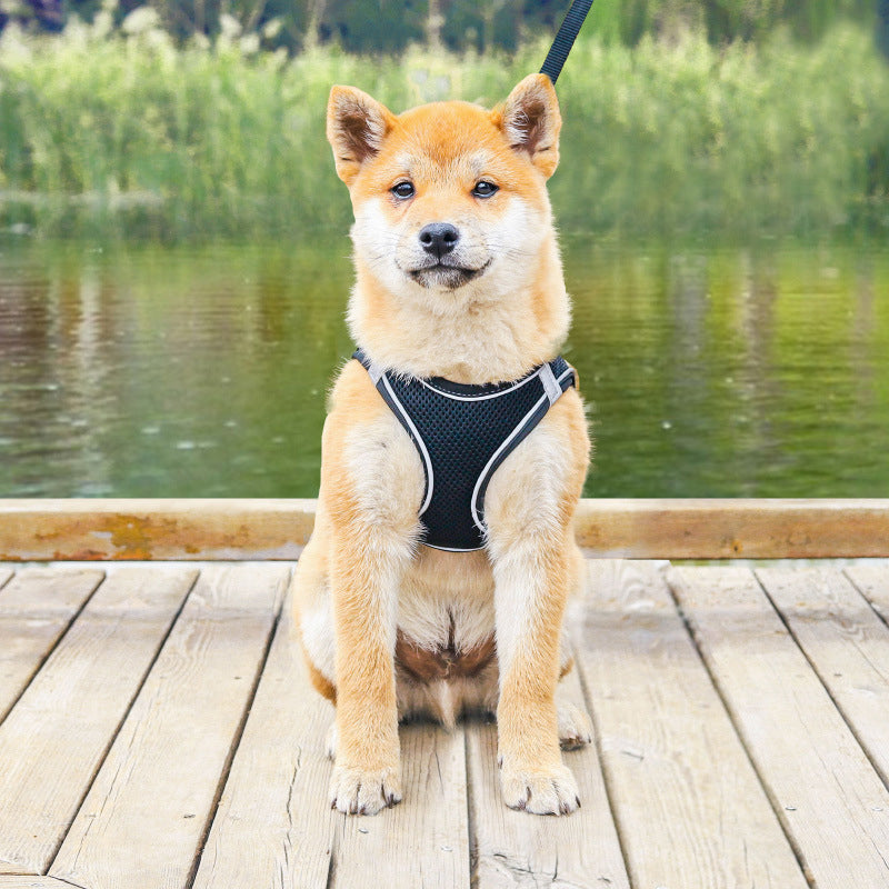 BowLift | Pet Chest Harness