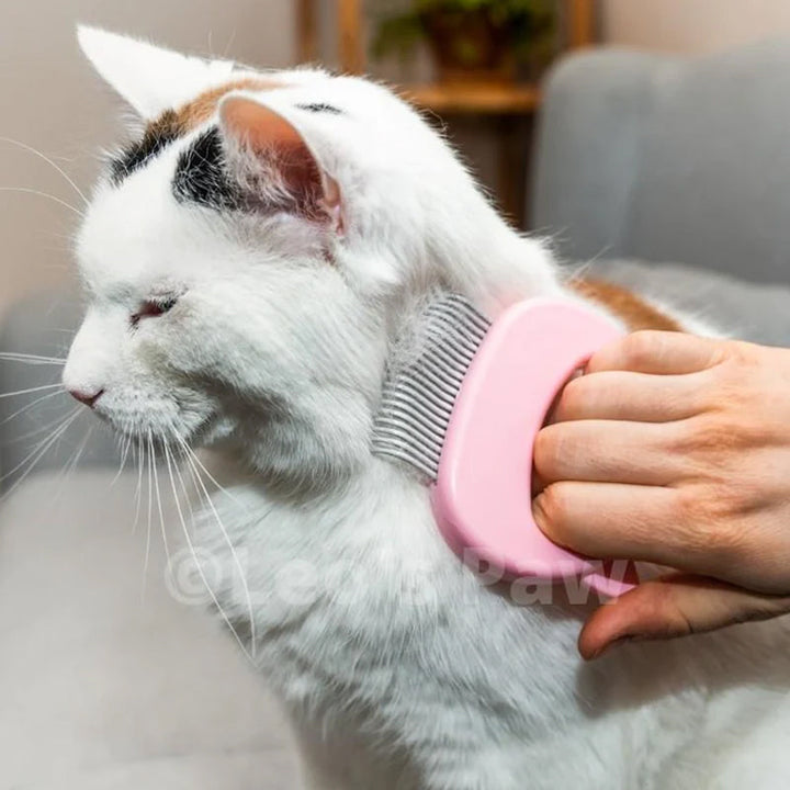 BowLift | Cat Hair Removal Massaging Shell Comb