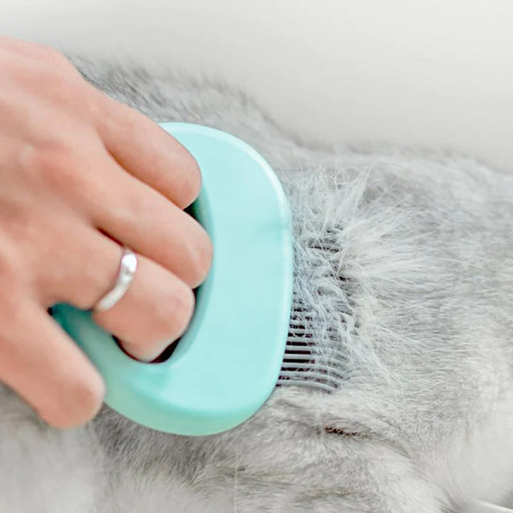 BowLift | Cat Hair Removal Massaging Shell Comb