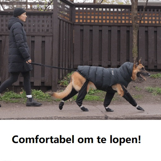 BowLift | PootShield Dog Boots – Weatherproof Shoes for Every Walk
