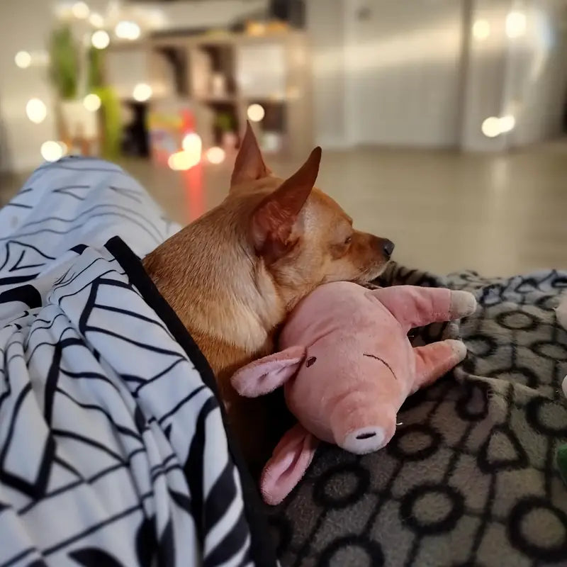 PiggyChew • Squeaky Dog Toy