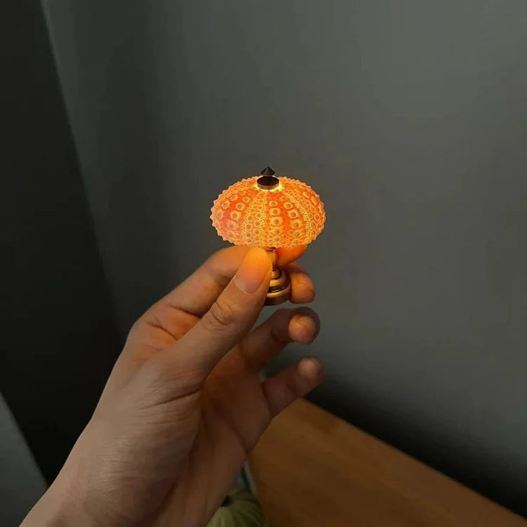 BowLift | LumiCraft – Unique DIY table lamp with natural sea shell for a cozy décor