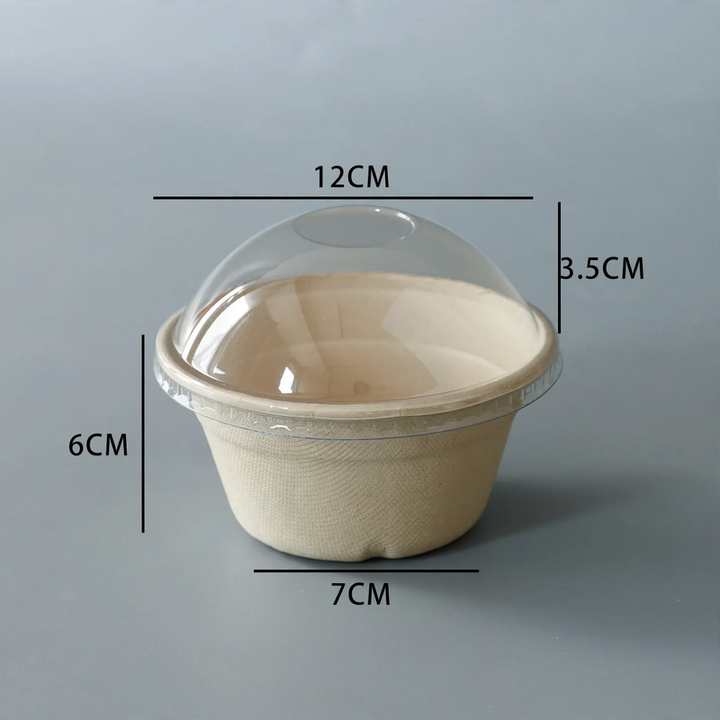 Disposable paper container, biodegradable