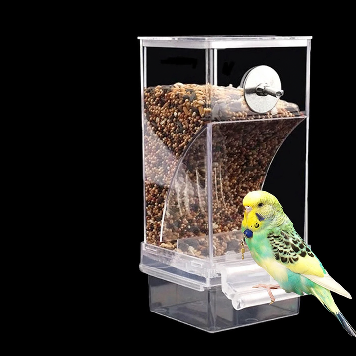 Automatic bird feeder, transparent