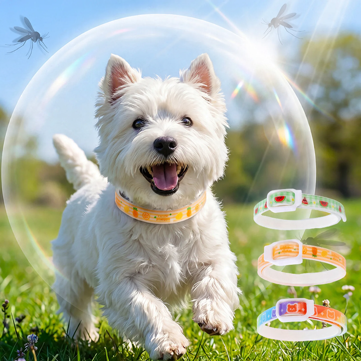 Adjustable collar with fruit pattern for dogs