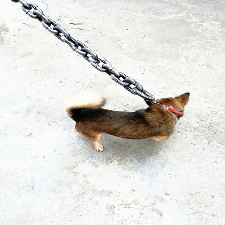BowLift | Funny Large Dog Collar
