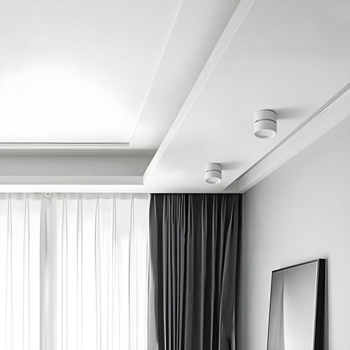 BowLift | LED Ceiling Light with Adjustable Spotlight Head