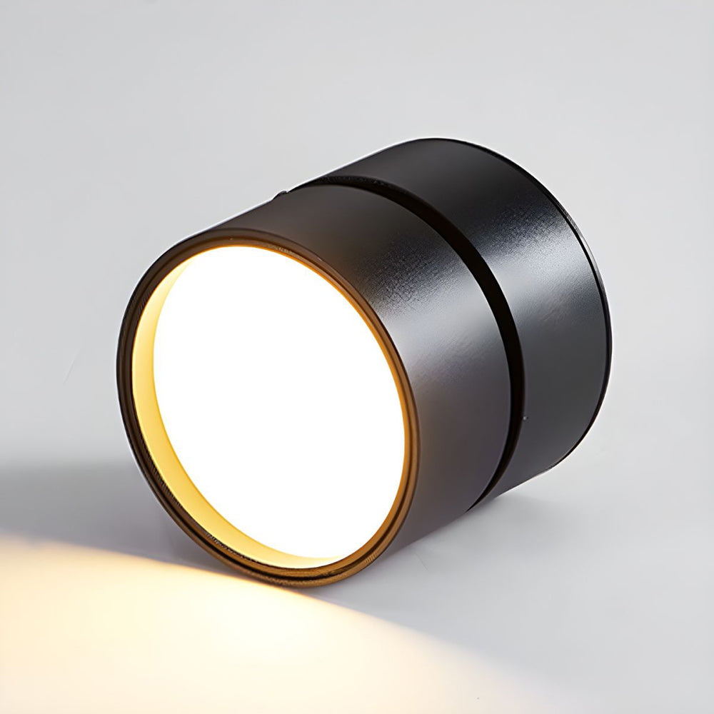 BowLift | LED Ceiling Light with Adjustable Spotlight Head