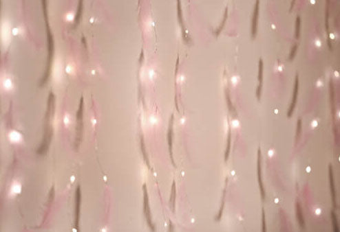 BowLift | Feather LED Atmosphere USB Remote Control Copper Wire Light String