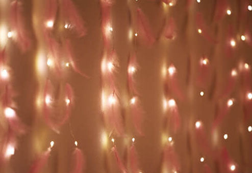 BowLift | Feather LED Atmosphere USB Remote Control Copper Wire Light String