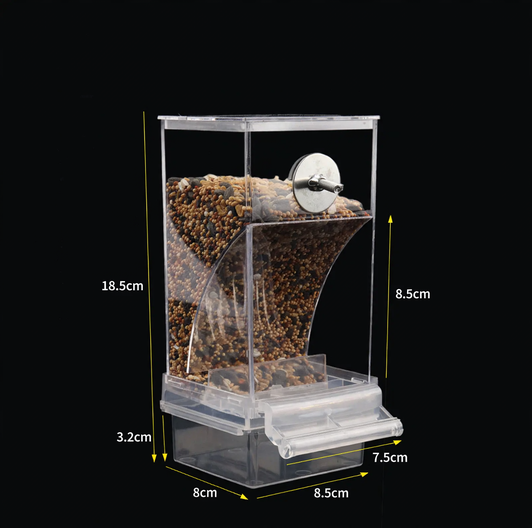 Automatic bird feeder, transparent
