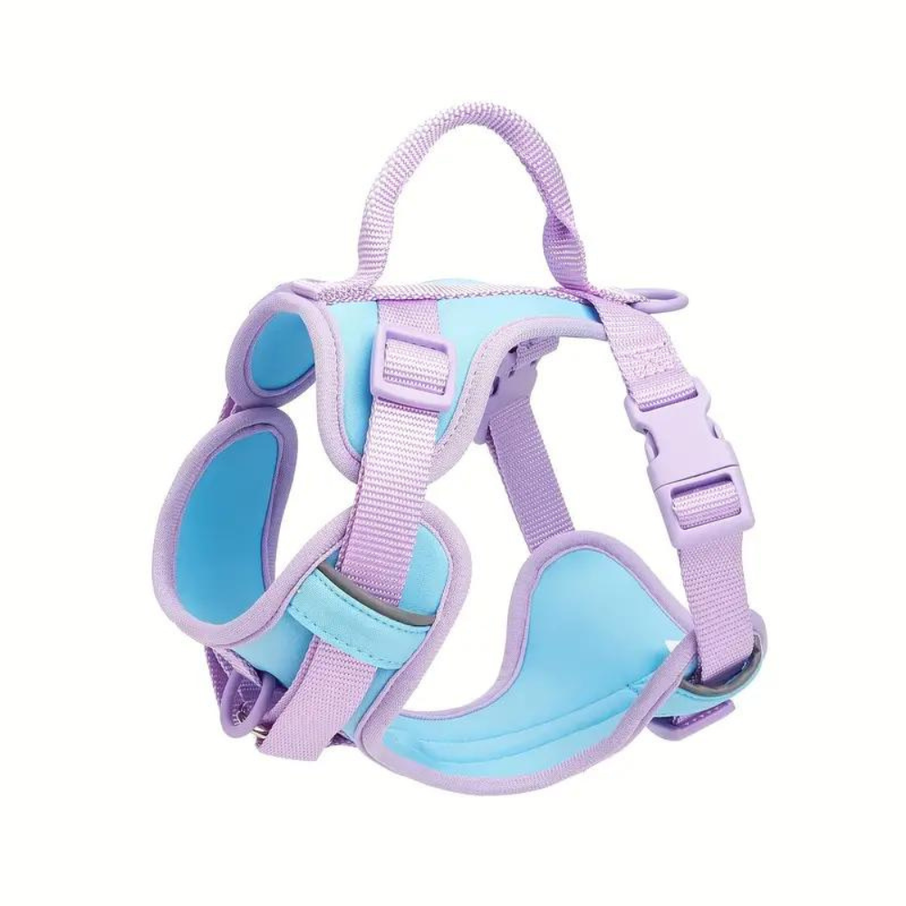 EasyWalk •  No Pull Dog Harness