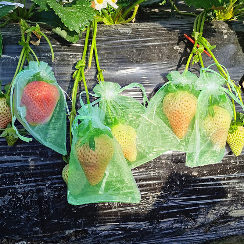 BowLift | Fruit Protection Bag (100 PCS)