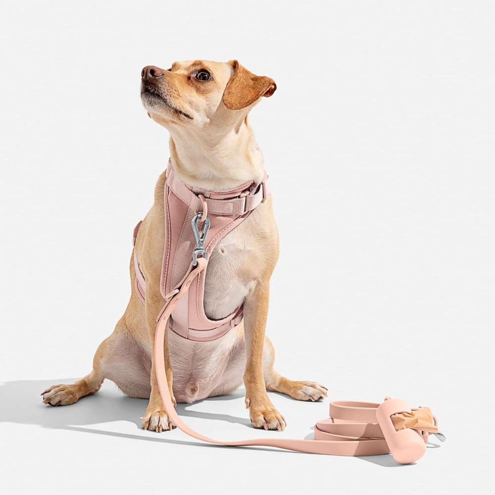 PaddedControl • No Pull Dog Harness