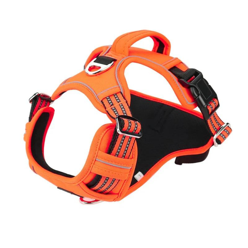 PowerHarness •  No Pull Dog Harness