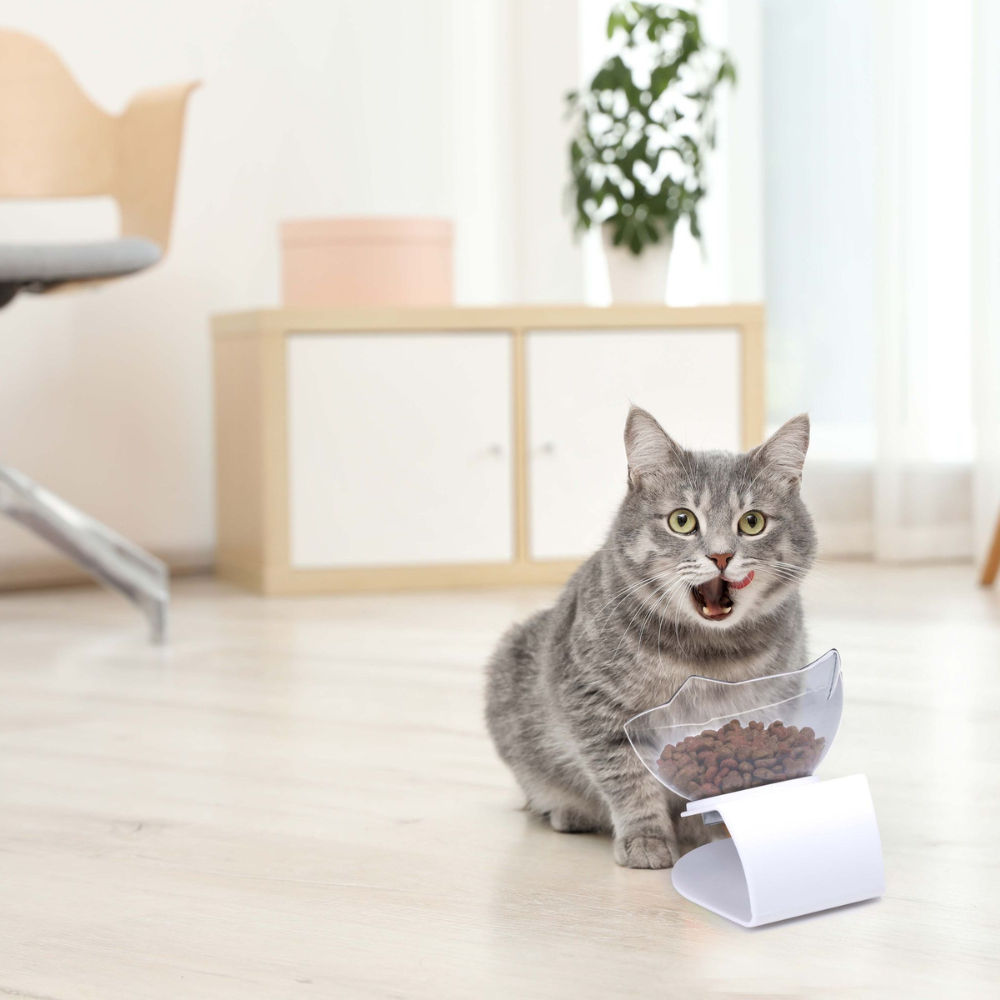 Whisker-Friendly •  Raised Cat Bowl