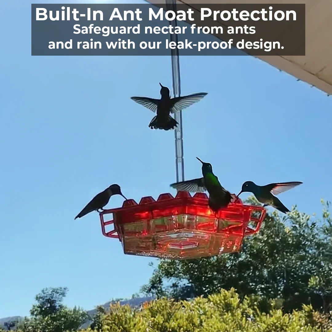 BowLift | Ant-Proof Hummingbird Feeder with 30 Bee-Resistant Ports