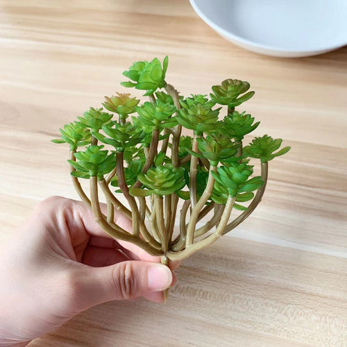 Lifelike Succulent Plant
