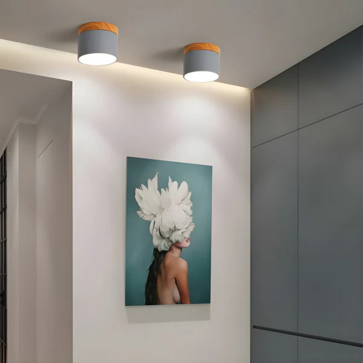BowLift | Vintage LED Ceiling Lamp