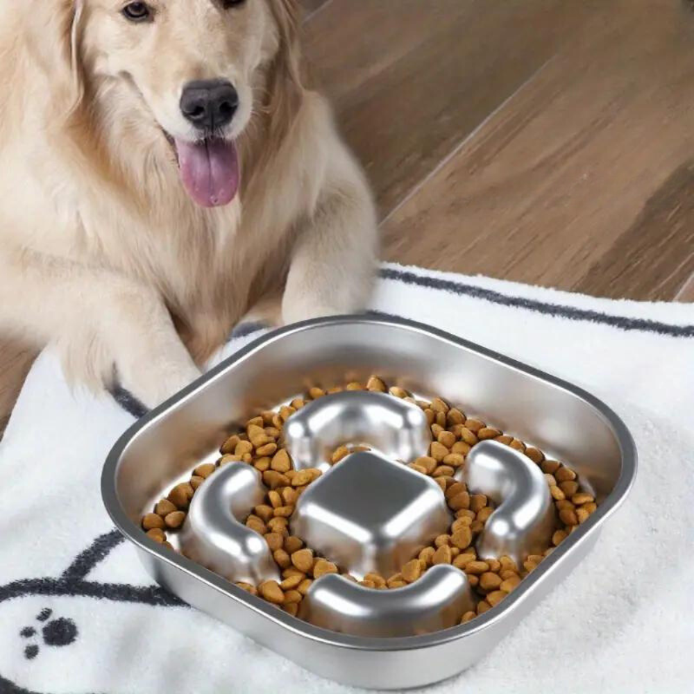 MightyBite • Dog Feeding Bowl Slow