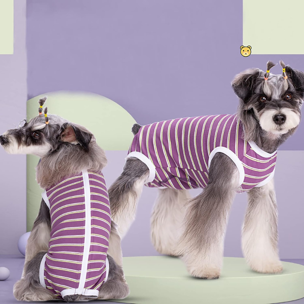 StripeGuard • Dog Recovery Suit for Post-Surgery Care