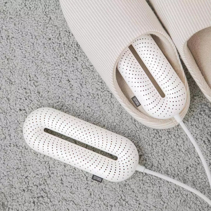 Electric shoe dryer with disinfection function
