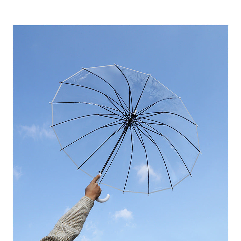 Ladies Transparent Umbrella with Elegant Design Bowlift