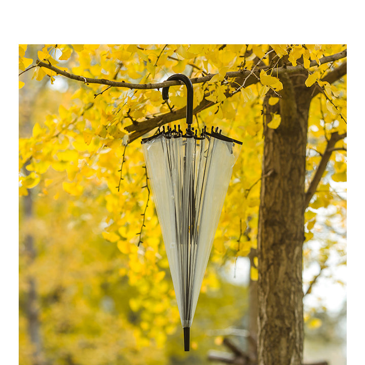 Ladies Transparent Umbrella with Elegant Design Bowlift