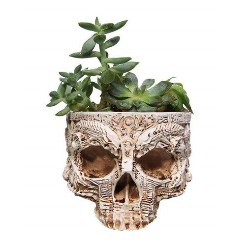 Decorative Skull Planter
