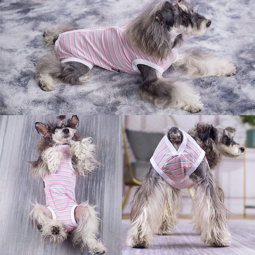 StripeGuard • Dog Recovery Suit for Post-Surgery Care