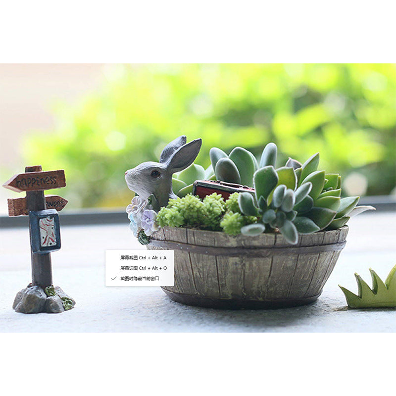 Decorative Succulent Planter