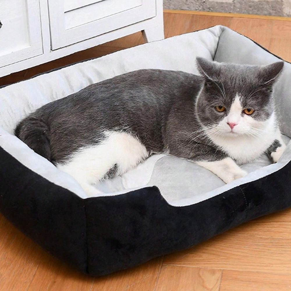 BowLift | Fluff Zone Pet Bed