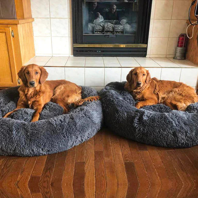 BowLift | Orthopedic Plush Donut Dog Bed