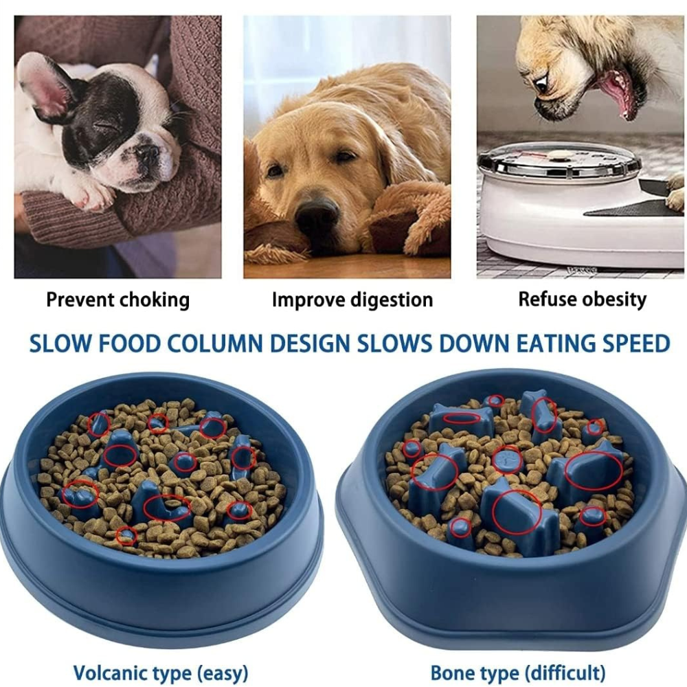 SlowBowl • Dog Feeding Bowl Slow