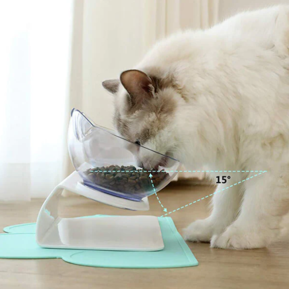 Whisker-Friendly •  Raised Cat Bowl