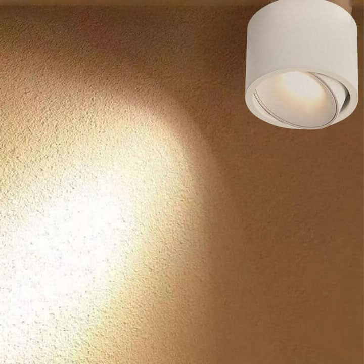 BowLift | Adjustable LED Flush Mount Ceiling Spotlight