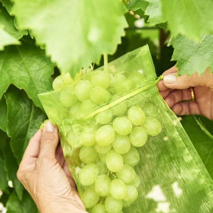 BowLift | Fruit Protection Bag (100 PCS)