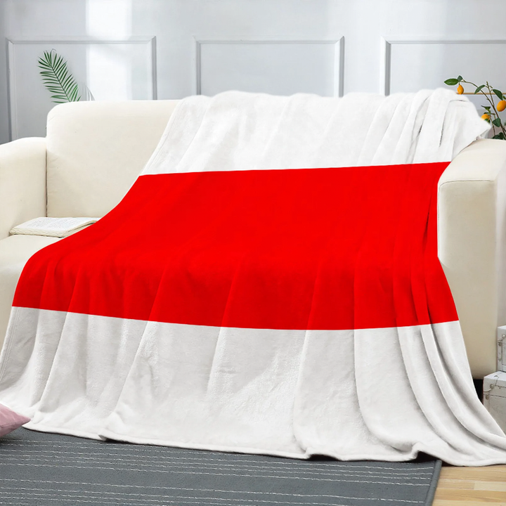 Reversible flannel blanket with cartoon design