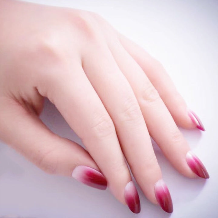 Ombre Glossy Nail Tips