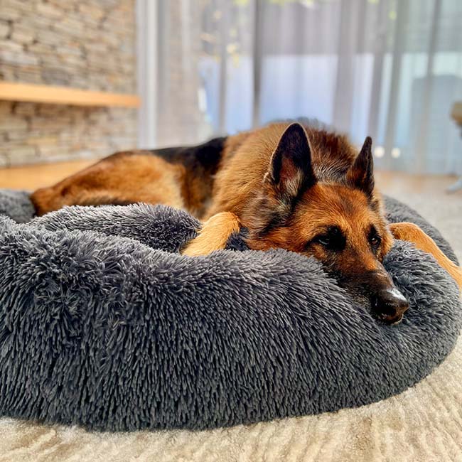 BowLift | Orthopedic Plush Donut Dog Bed