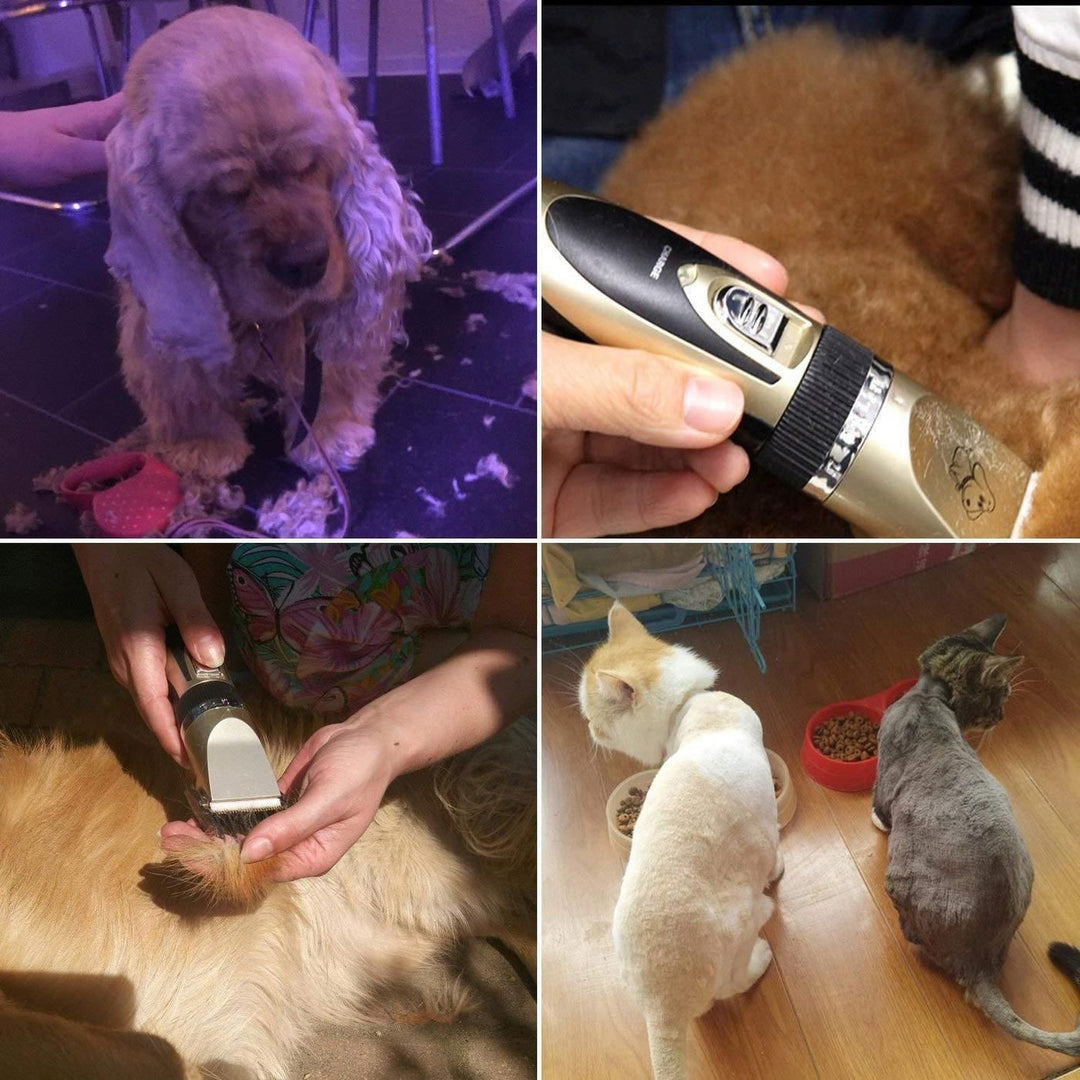 BowLift | Professional rechargeable animal hair trimmer