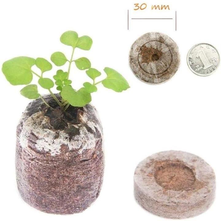BowLift | Nursery Nutrition Block