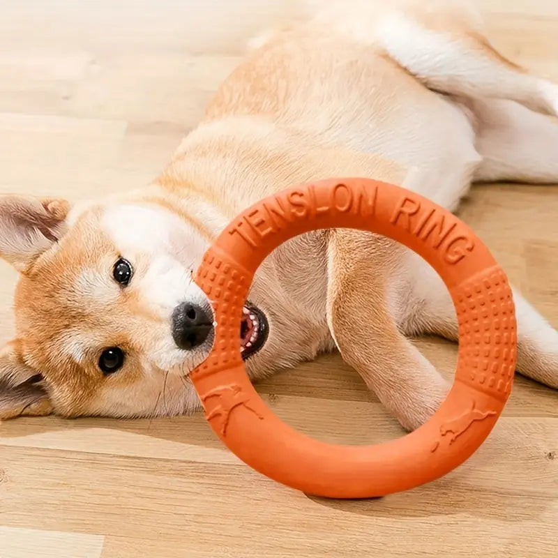 AeroFetch • Interactive Dog Toy