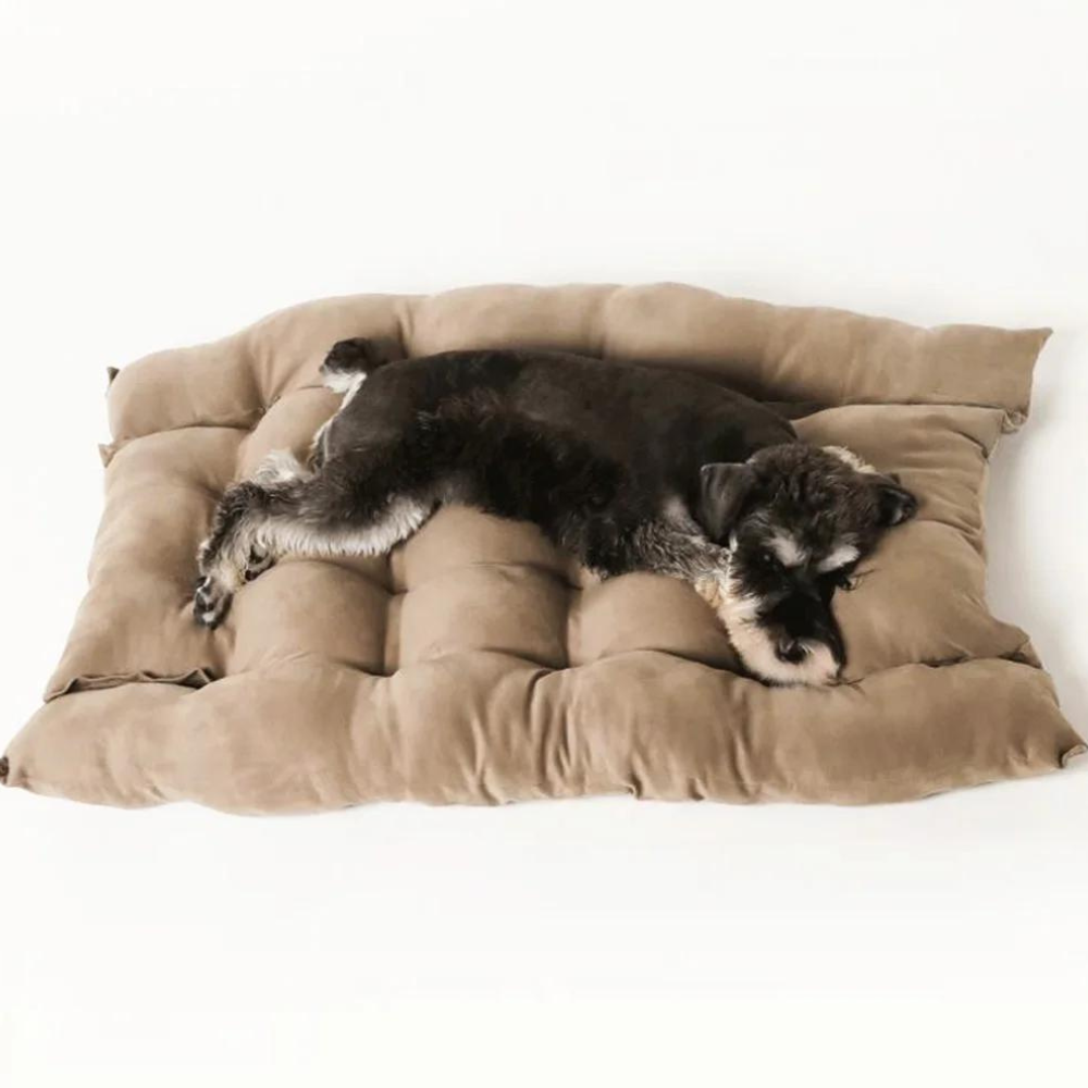 PlushPaws •  3-in-1 Dog Bed