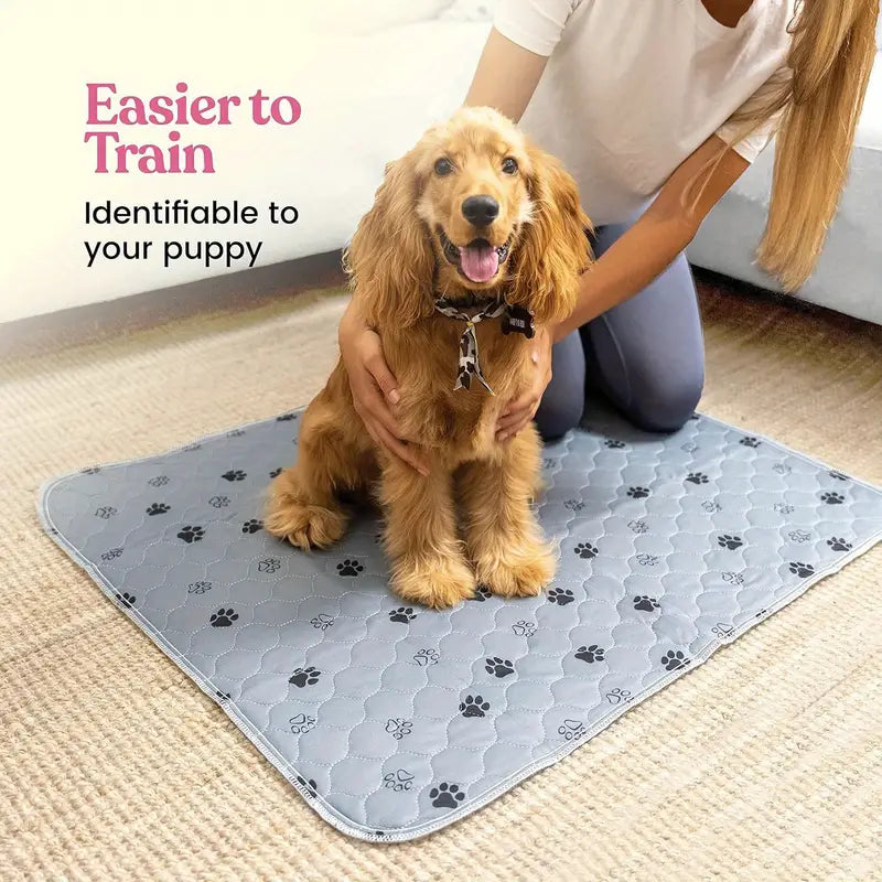 EcoPaws • Reusable Dog Training Pads