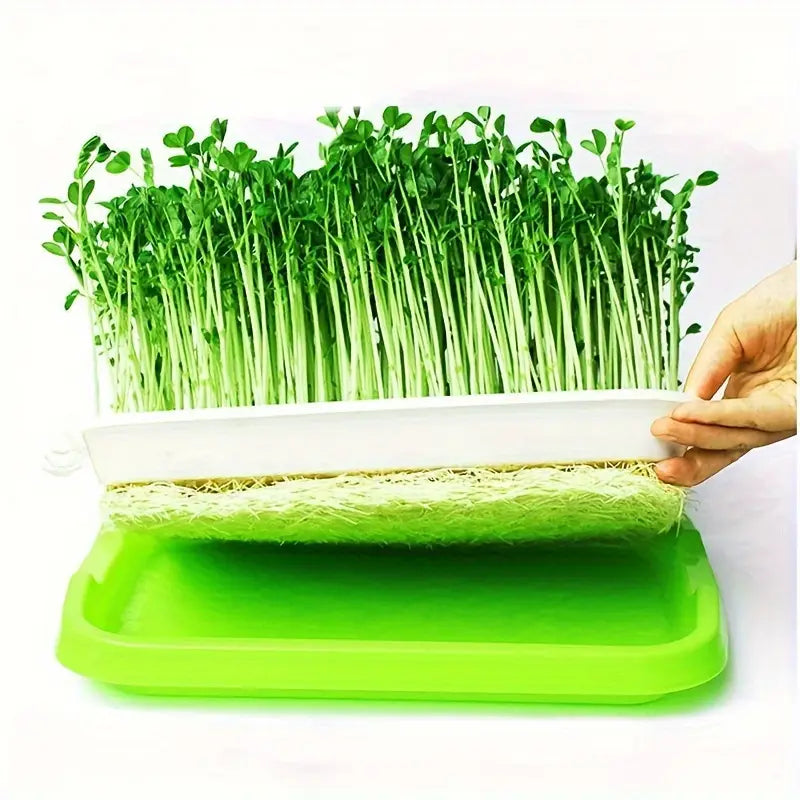 BowLift | Germination trays with lid – Double-layer seed sowing tray for effective seed germination