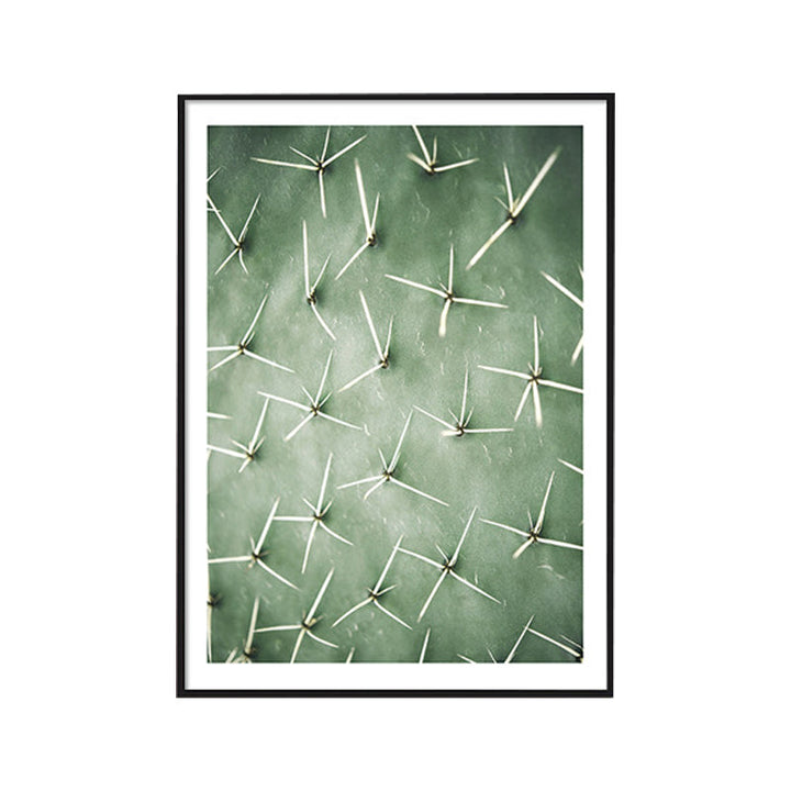 BowLift | Cactus Signs Soft Color Canvas Wall Art Print Texture, Multiple Size Options